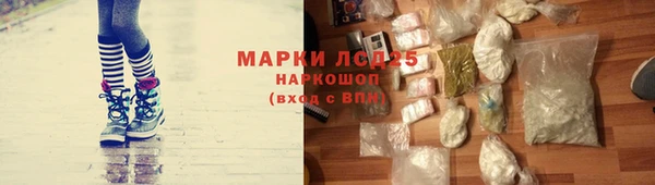 прущие грибы Алексин